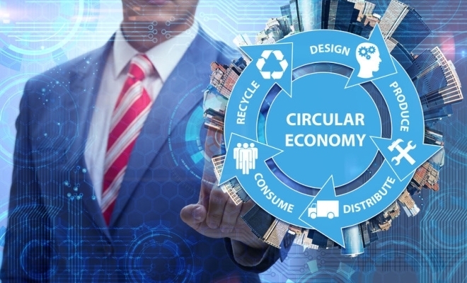 Romania’s Circular Economy Strategy, Challenges for the Accountancy Profession